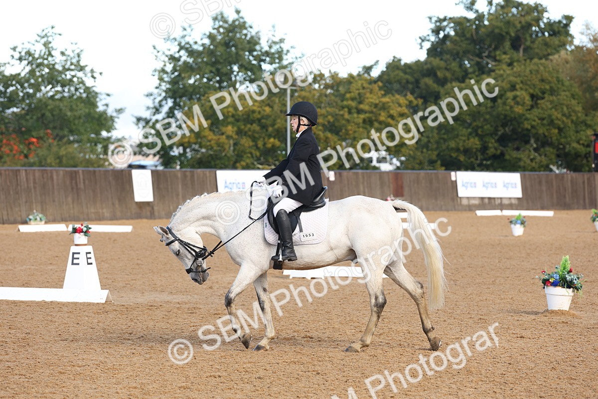 SBM_37514 - D18 - Grand Tour Championship Novice 2
