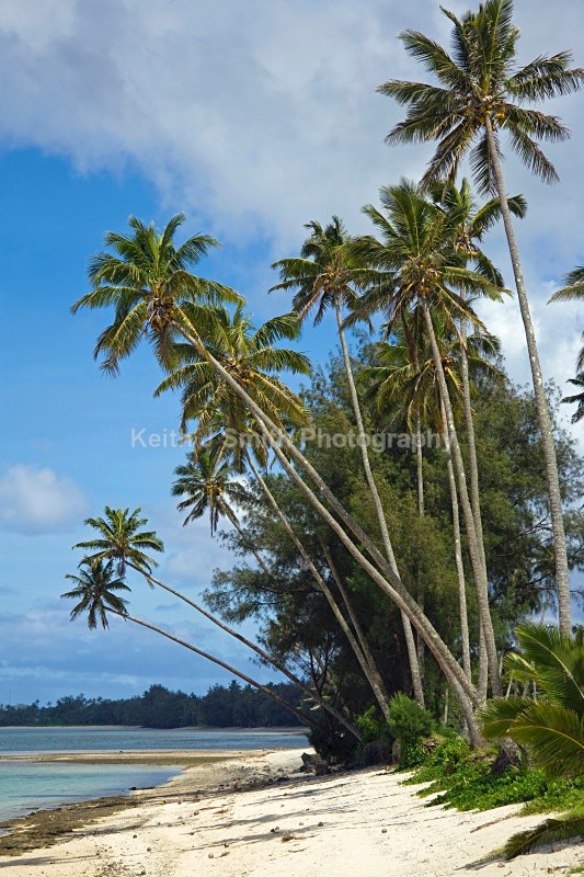 YR6M0748 - Worldwide