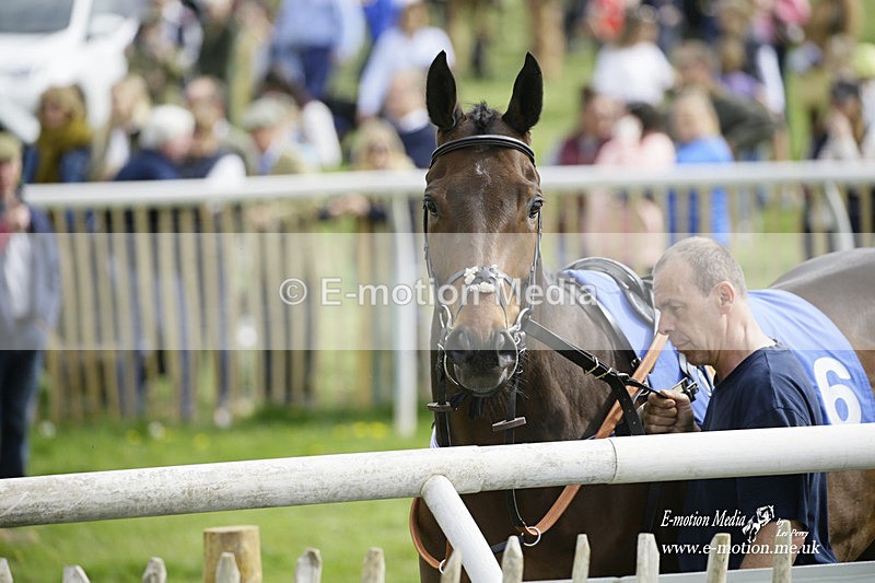 PtP 180422 134 - Old Berkshire PtP Lockinge 18/04/22