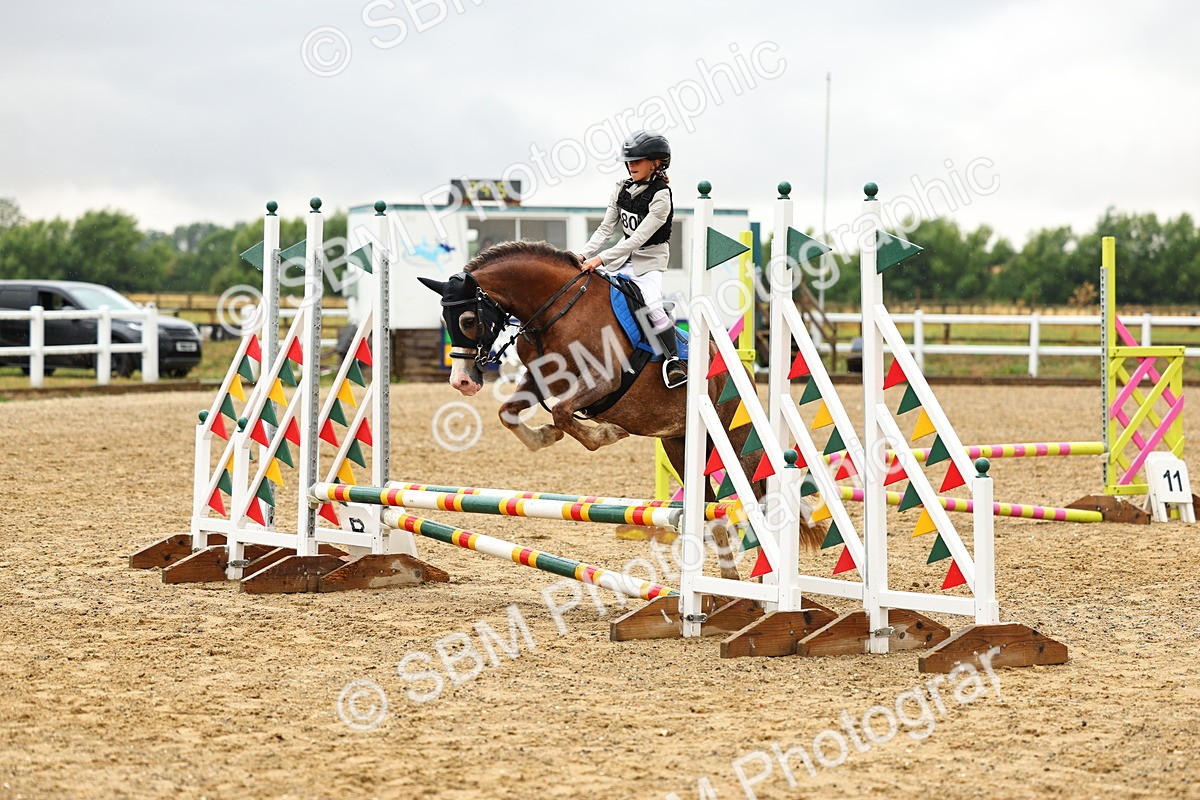 SBM_000294 - Class 3 - 60cm