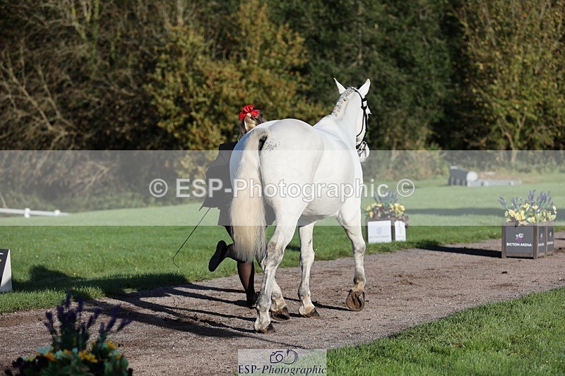 241027-090157-14975 - 461-Olivia.Radcliffe-CHALKY'S.DREAM