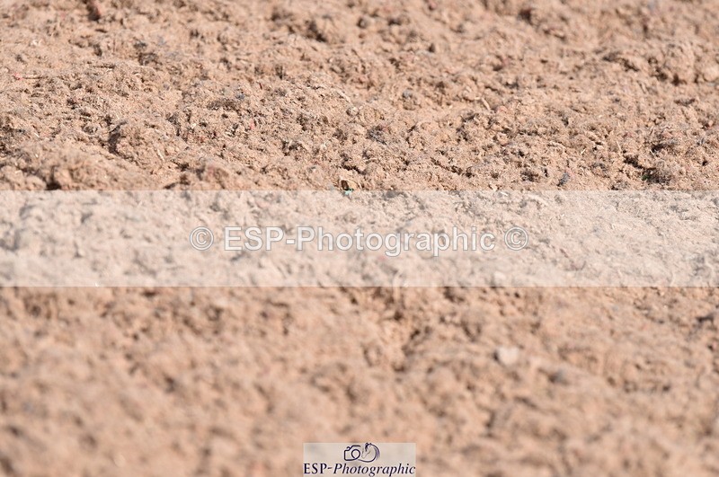 230520A-104129-00147 - 70cm