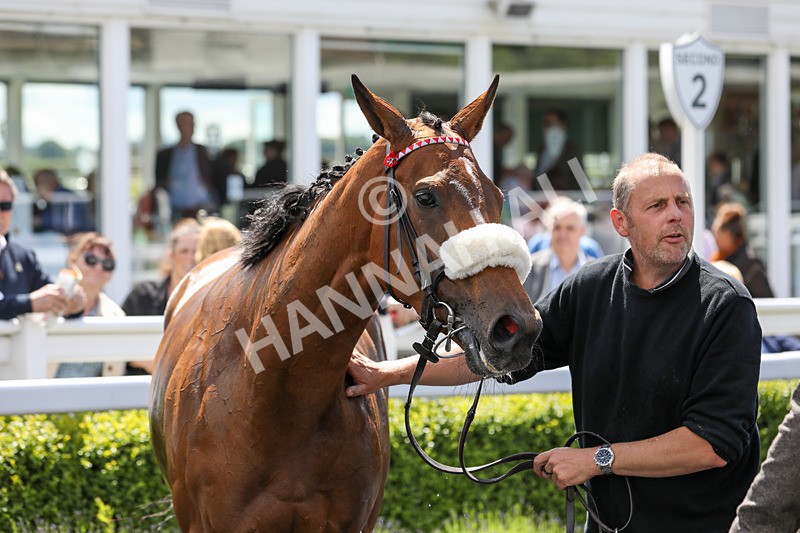 080624-Race 1-Rapido Girl-4583 - Race 1
