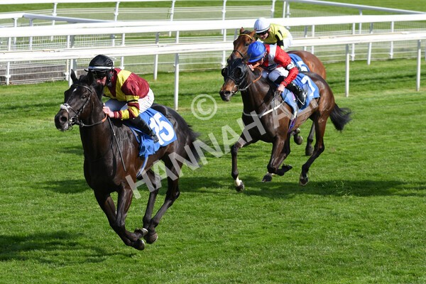 yr12052021r7-23 - Race 7 4.50 pm Conundrum HR Consulting Stakes