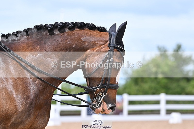 240622A-125244-10291 - Cls 30 BD Elementary 53