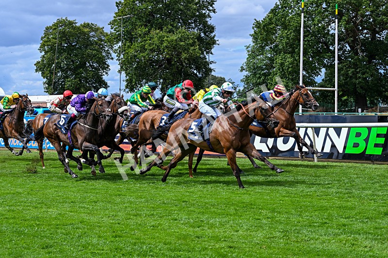 010826-Race 2-Witch Hunter-2269 - Race 2 14.08pm William Hill Summer Cup Handicap