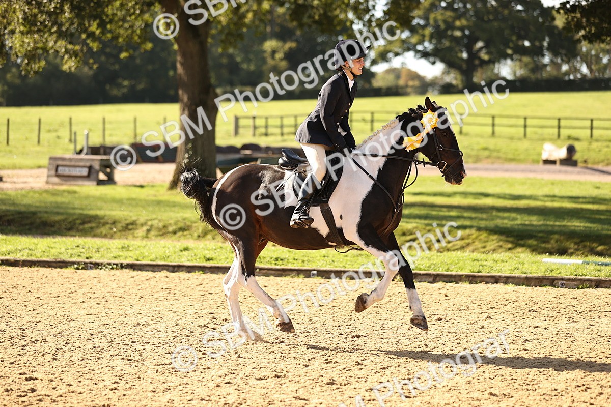 SBM_35237 - J38 - Senior 80cm Championship