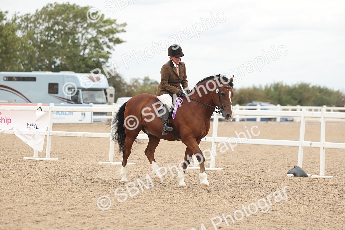 SBM_18246 - Class 315 - Best Horse-Rider Combination
