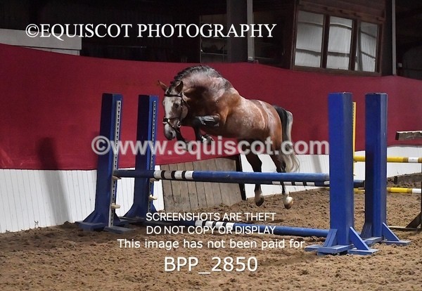 BPP_2850 - LOOSE JUMPING / SPSS
