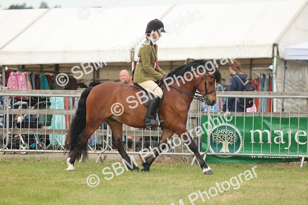 SBM_09107 - Class 78-80 - Ridden M&M Non Welsh Ponies