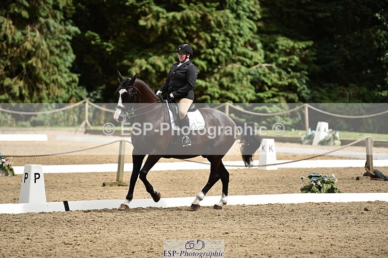 140110A-042718-12150 - 160-Rosey.Bradburn-High.Spirits.II