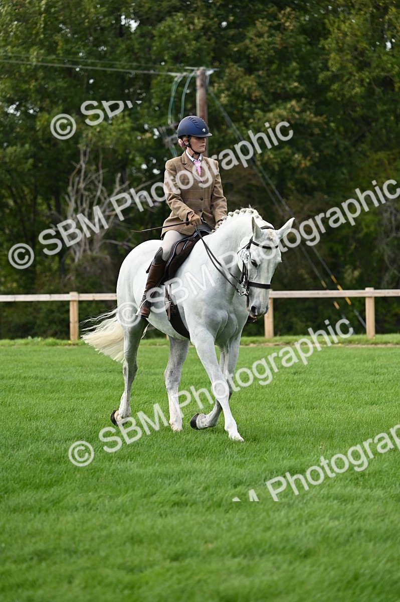 SBM_26393 - S6 - Novice & newcomer Ridden horse
