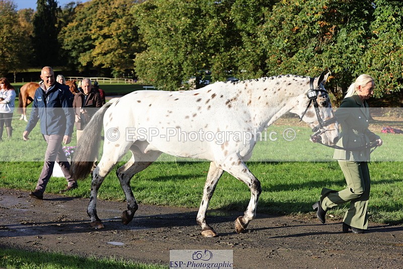 251026A-094035-22415 - D-323-Hannah.Flowerday