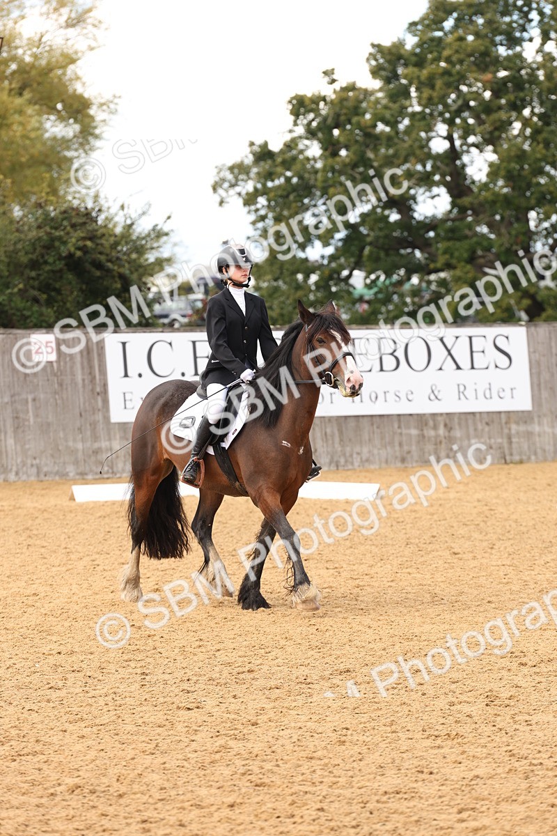SBM_44190 - D6 - Small Tour Championship Intro 4