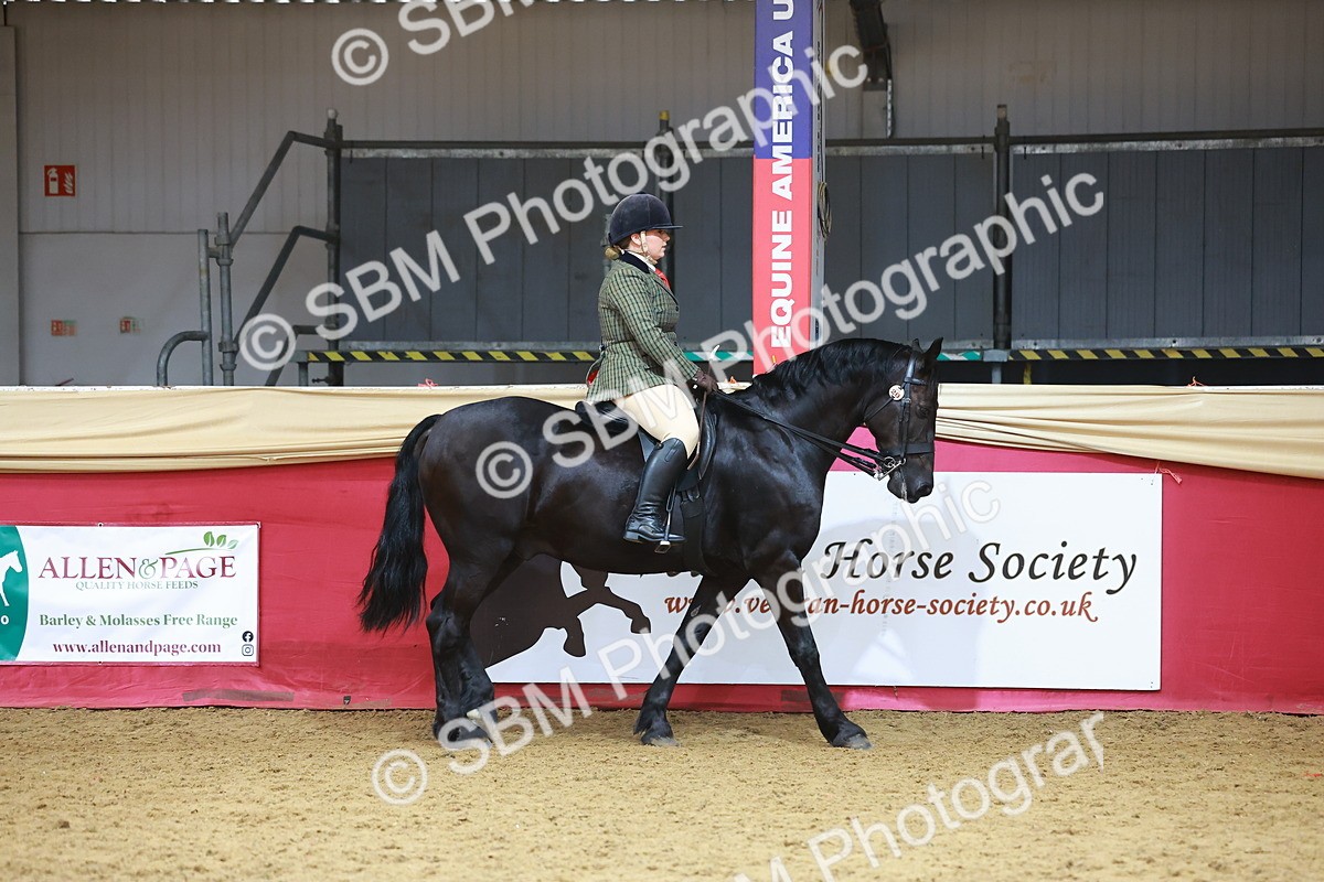 SBM_09595 - Class 102 - HOYS Veteran Qualifier - Ridden Veteran