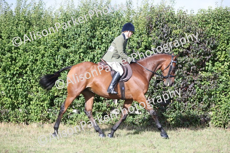 20250831-0843 - Class 14 - Ex Racehorse