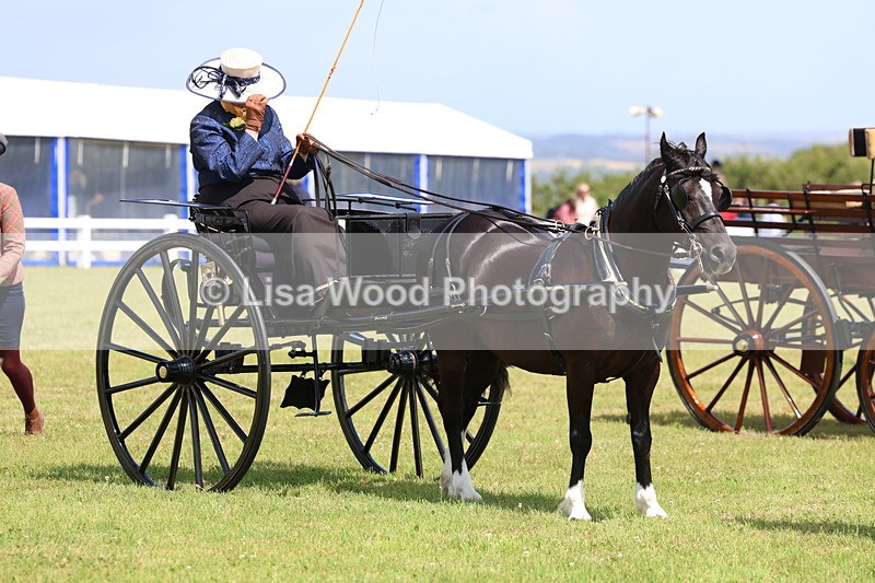 3E7A2742 - Class 12: Open Driving