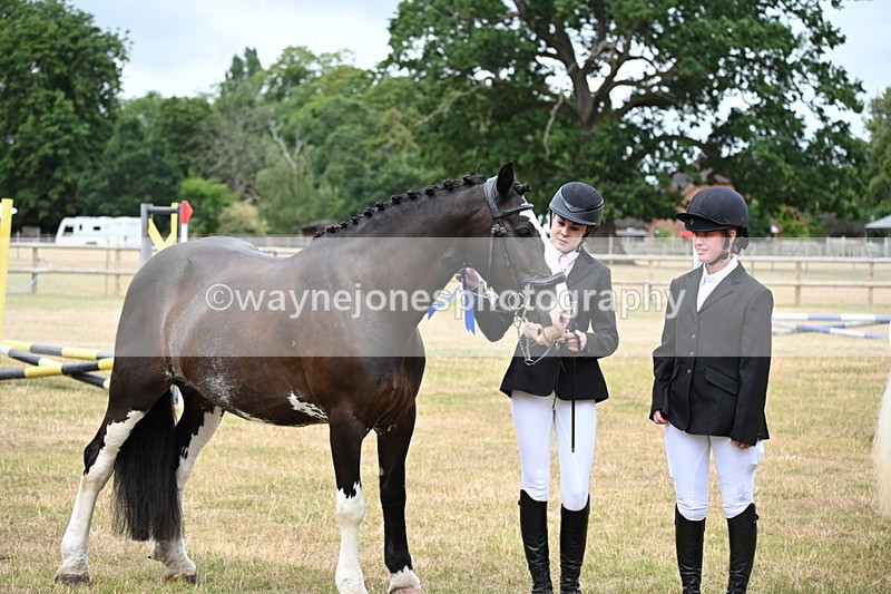 WJ6_4456 - Class 10 Coloured In-hand