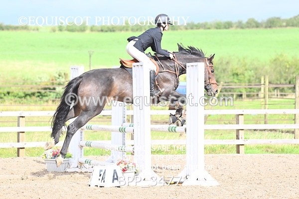 BPP_3477 - CLASS 36 SUN Senior British Novice/ 90cm Open