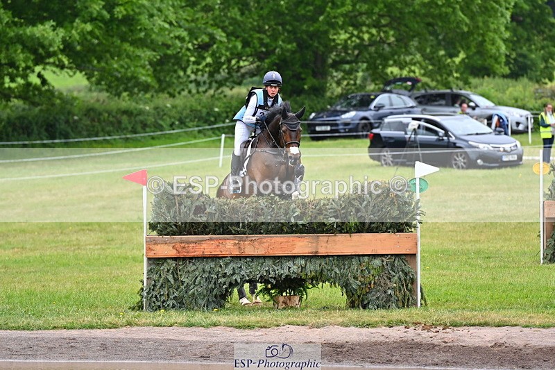 250524A-115905-10040 - B-310-Kitty.King-LISCARROW.FERNHILL