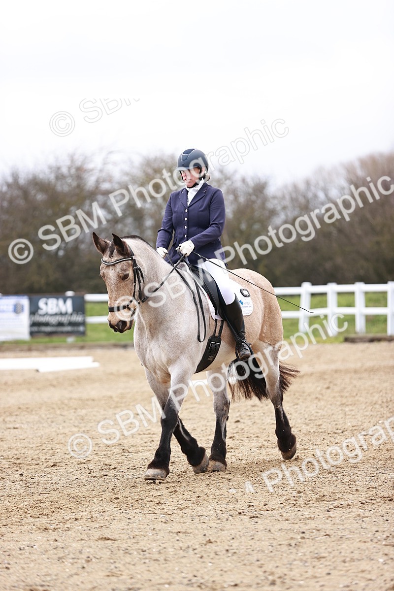 SBM_005208 - Elementary 1