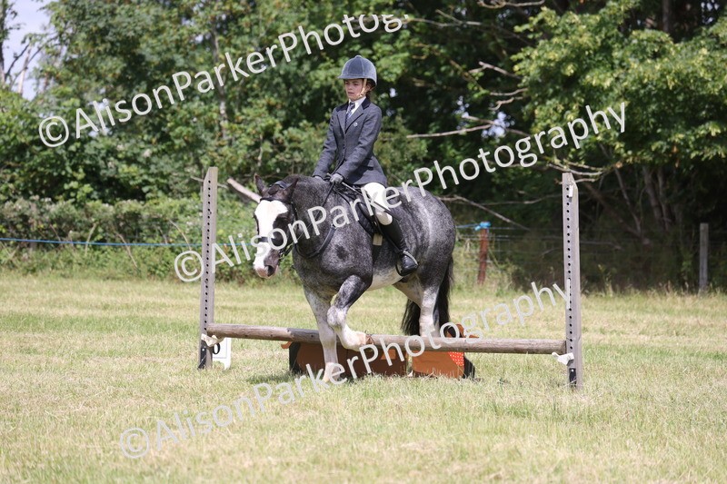 20260614-1970 - Class 21 - Novice Working Hunter Pony