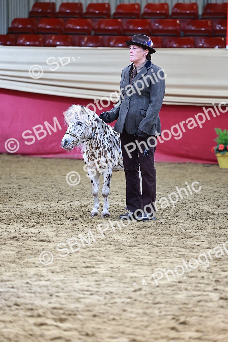 SBM_22321 - Class 902 - Supreme Final - IH Diamond