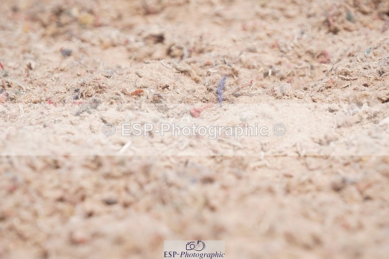 250622-103844-13368 - Cls 52 FreeStyle Elementary Inc Presentations