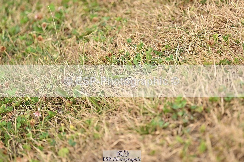 260730-120452-00582 - Cls 9 95cm Amateur