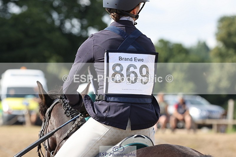 250803A-170443-17728 - S-869-Alice.Lamming-THE.DARK.HORSE.I