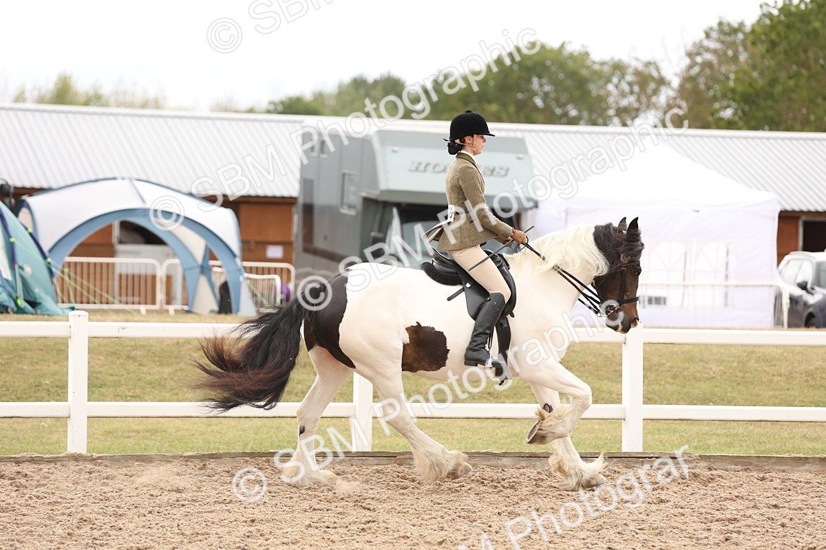 SBM_19673 - Class 216 - Ridden Traditional - Native Cob