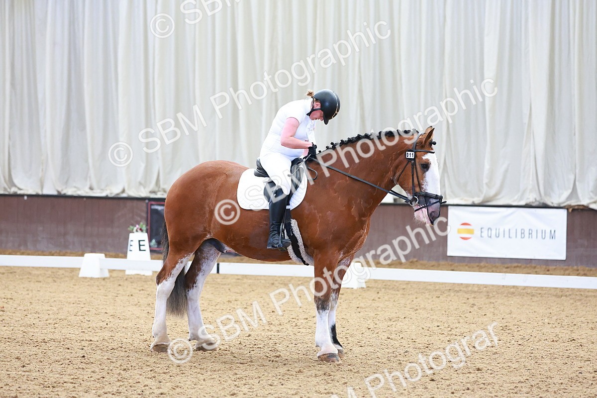 SBM_000188 - Intro Test 2