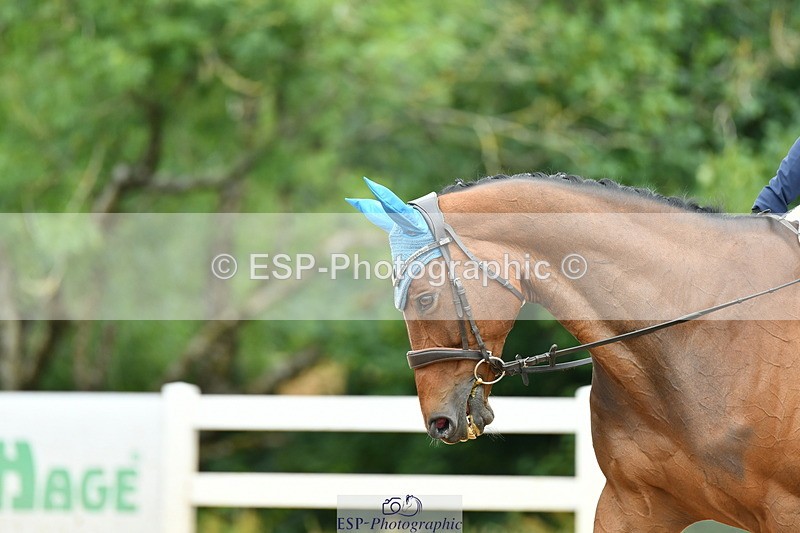 230701A-104129-04813 - Cls 4 Novice 23