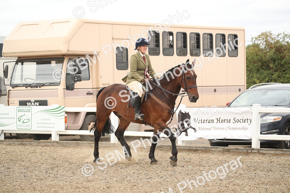 SBM_16856 - Class 507b - Working Veteran 60cm (20+)