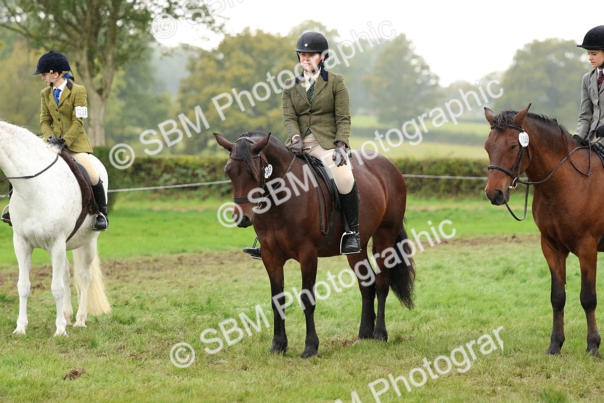 SBM_69719 - S62 - Mountain & Moorland Ridden Large Breeds