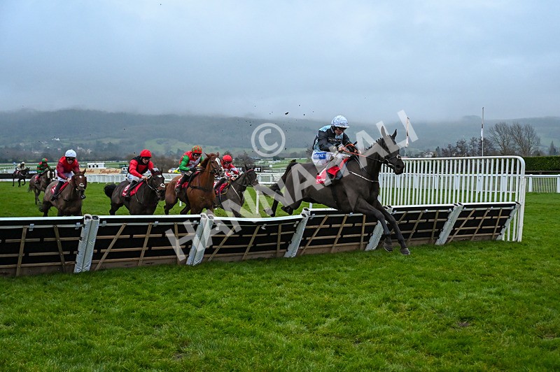 131224-Race 7-Long Draw-0194 - Race 7