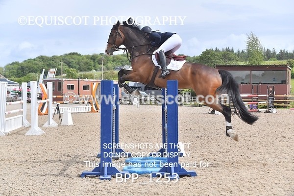 BPP_1253 - Senior Foxhunter/ 1.20m Open