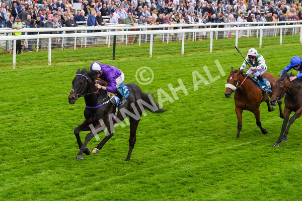 180523-Race 6-Cuban Thunder-0752 - Race 6 4.45pm Frank Whittle Partnership ebfstallions.com Maiden Stakes
