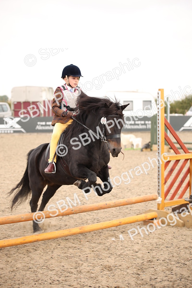 SBM_11725 - Class 404a Junior Working Veteran- 40cm (15-19)