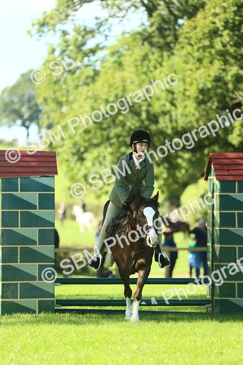 SBM_37470 - S29 - Novice & Newcomers Working Hunter Pony