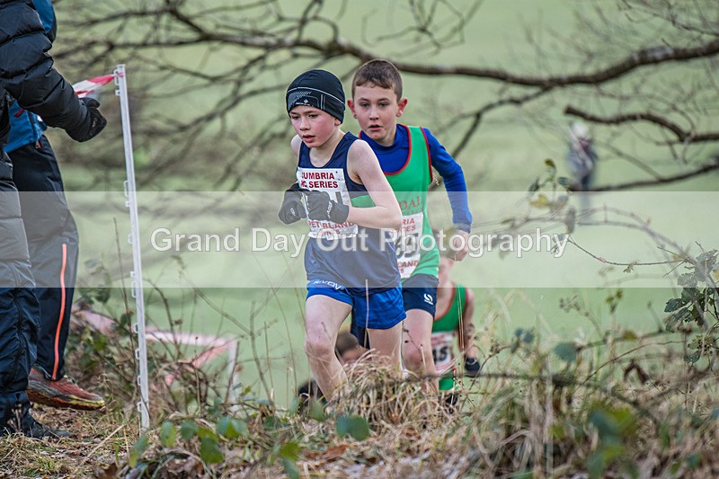 Cumbria XC-3 - Cumbria Cross Country Championships (Junior & Senior Races) Saturday 3rd January 2026
