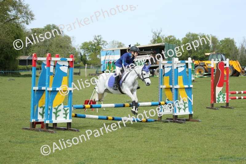20260426-2008 - Class 15 - Absolute Novice 70cm