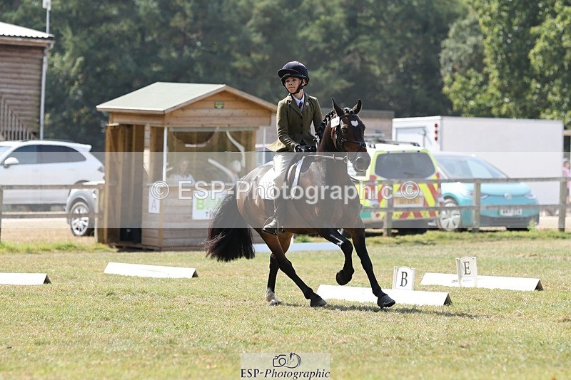 250823A-123414-29833 - Arena C