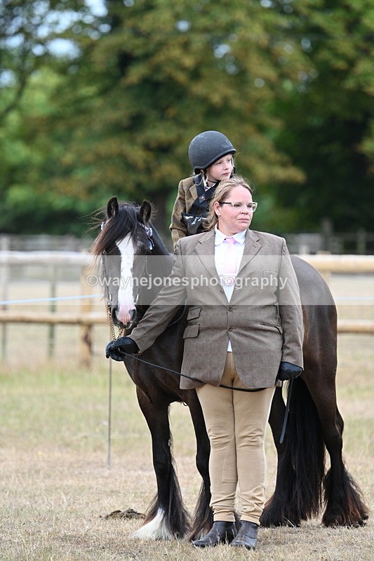 WJ7_6837 - Class 1 Lead Rein Pony