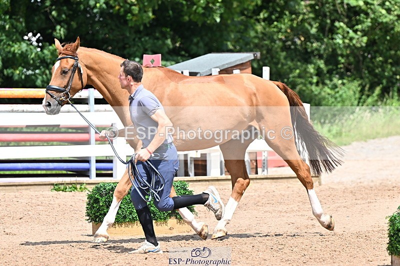 240718A-105319-01849 - Trot Up 1pm to 2pm