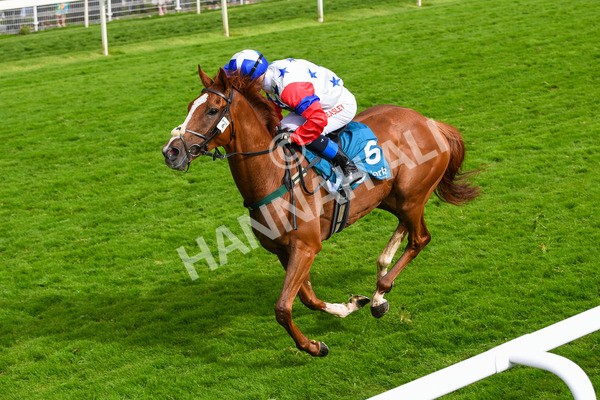 150723-Race 6-Robert Johnson-0647 - Race 6 4.55pm John Smith's Stayers' Handicap