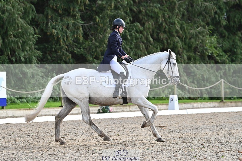 231019-144509-04599 - 126-DERRYS.LADY.LOU-Debbie.Townsend-DR