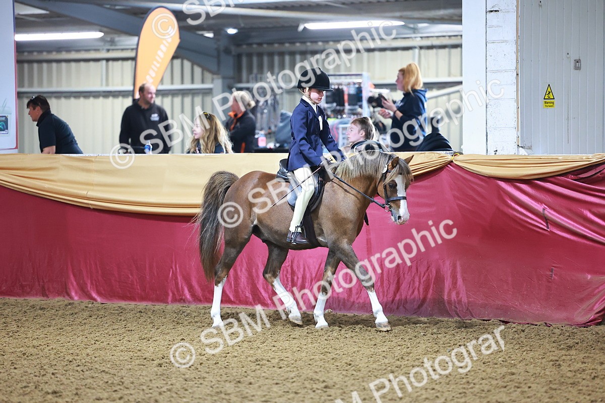 SBM_14560 - Class A - Junior Champ 10 year and Under