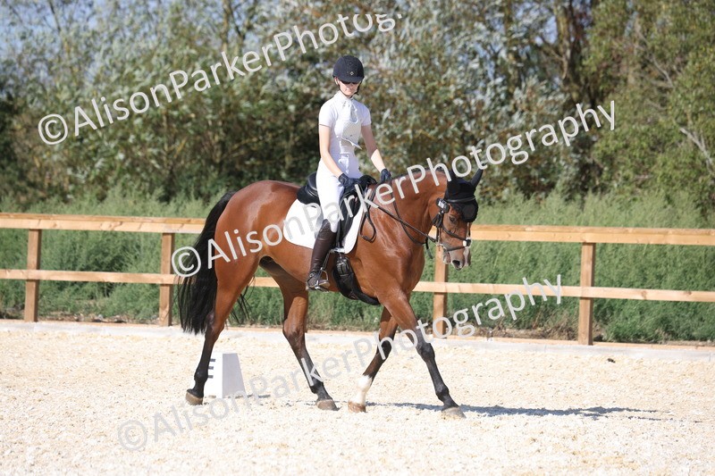 20260905-1516 - Class 5 - Novice 2