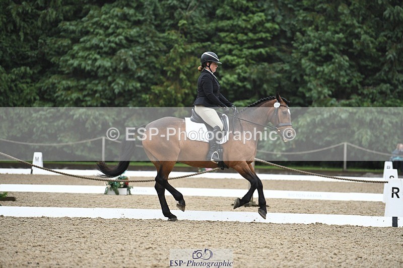240720-110213-04150 - 196-Paula_Tippett-North_Country_Knight